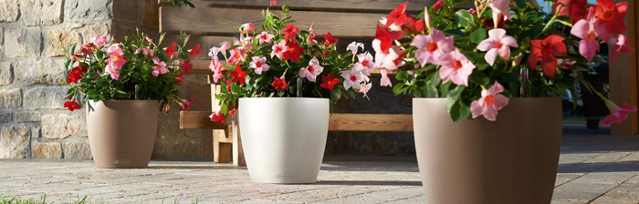 Planter Headings Planter Headings